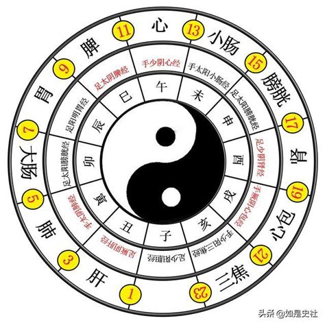 太極兩儀圖|易經入門：太極、兩儀、四象、八卦是什麼意思？